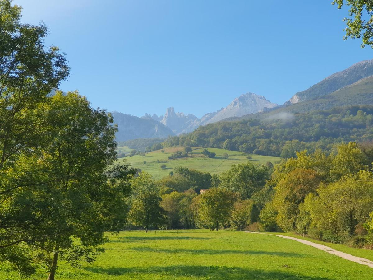 La Estancia De Cangas - Amplio Piso Con Garaje Onís 外观 照片